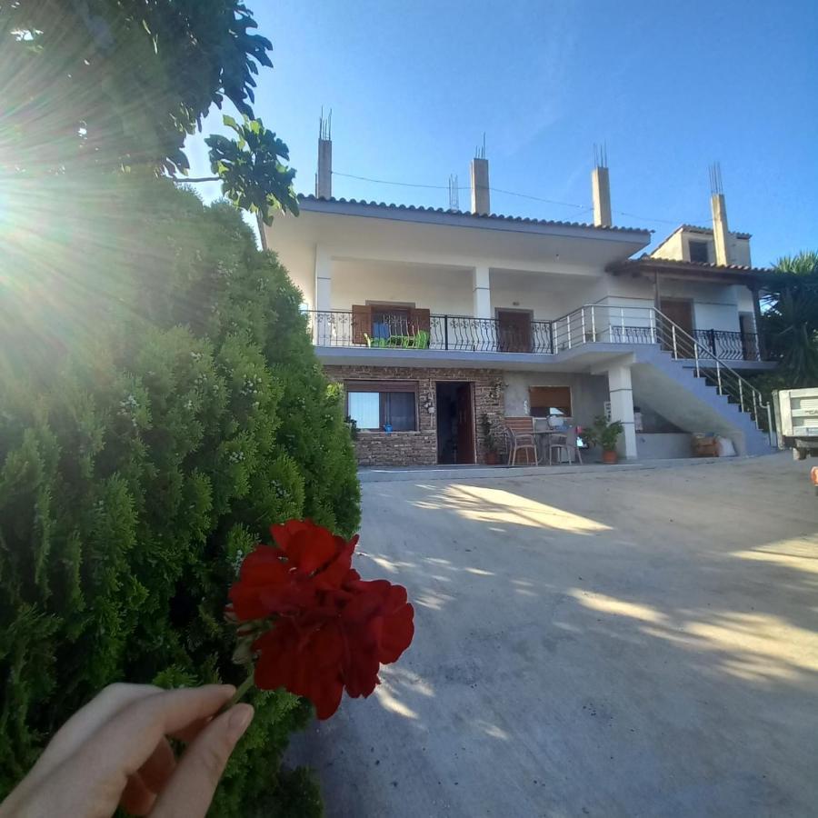 Vila Pasha Sarandë 외부 사진